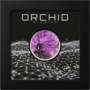 1 Unze Silbermünze Bionics - Orchidee