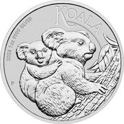 Silbermünze Koala 1 Unze 2023
