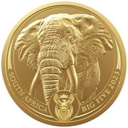 Goldmünze BIG FIVE Elefant 1 Unze 2023/2024