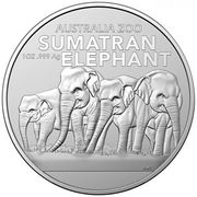 1 Unze Silber Sumatra Elefant - Australia Zoo 2022