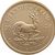 1/2 Unze Gold Krügerrand