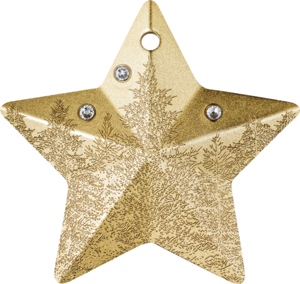 1 Unze Silber Weihnachtsstern - vergoldet 1 Unze Silber Weihnachtsstern - vergoldet