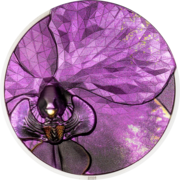 1 Unze Silbermünze Bionics - Orchidee