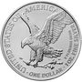 Originaltube Silber American Eagle 2023 (20 Stück)